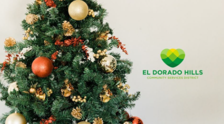 Celebrate the Season with Sustainable Christmas Tree Disposal in El Dorado Hills!