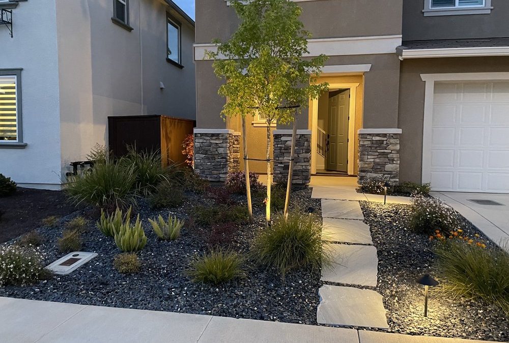 The Ultimate Guide to Perfect Residential Landscaping and Drainage Solutions with Suncrest Landscape