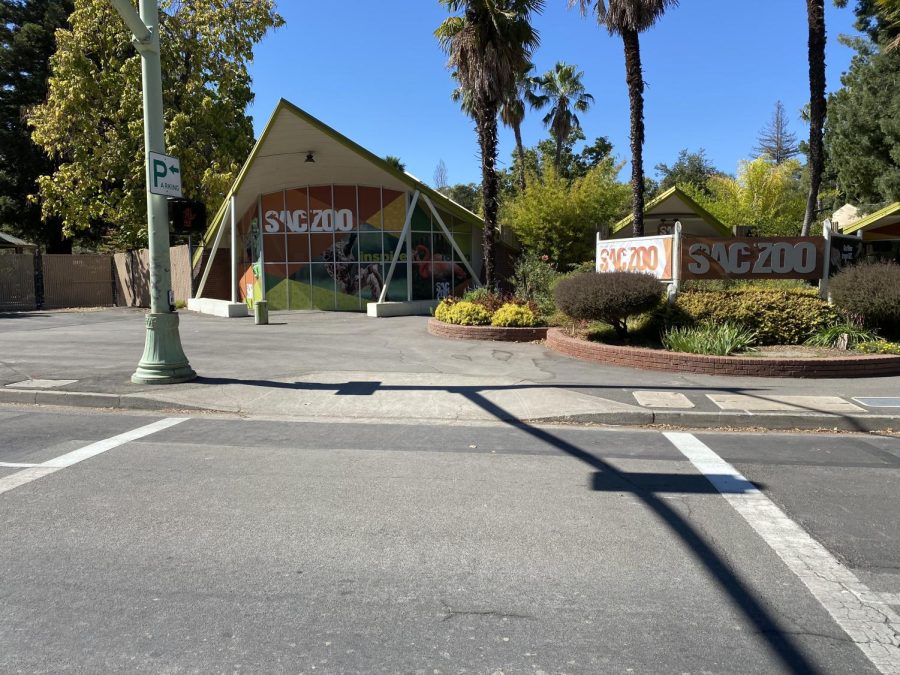 Just a short drive from El Dorado Hills, the Sacramento Zoo offers fun and education for all ages.