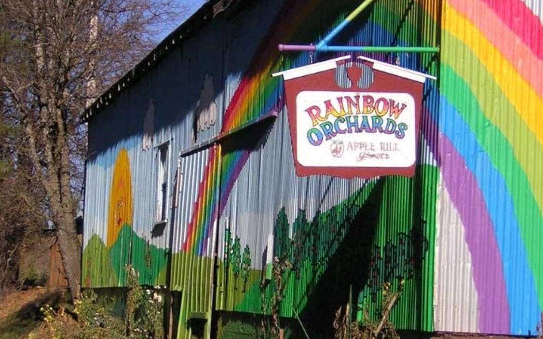 Seasonal Treats: Apples and Cider at Rainbow Orchards