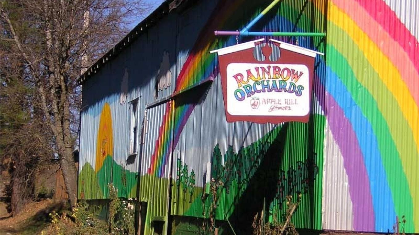 Seasonal Treats: Apples and Cider at Rainbow Orchards