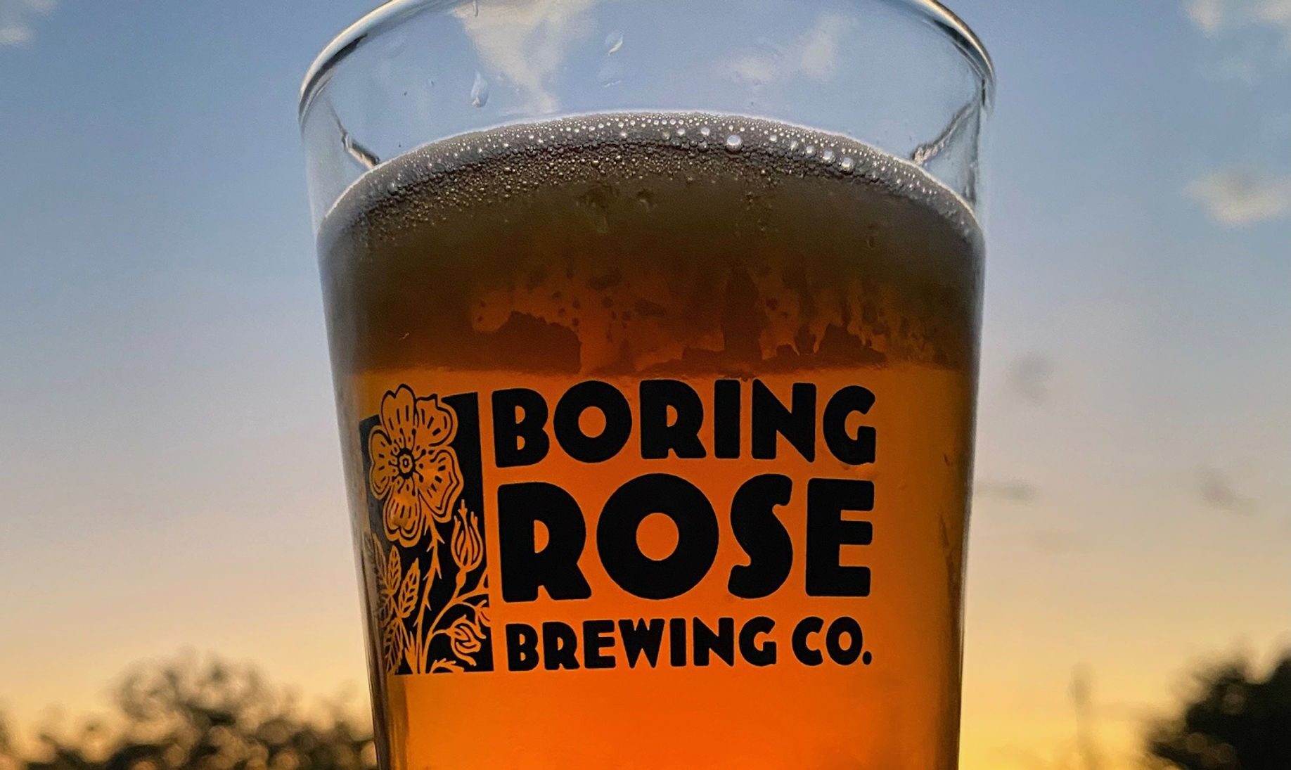 Unique Greenhouse Brewery in El Dorado Hills – Boring Rose Brewing