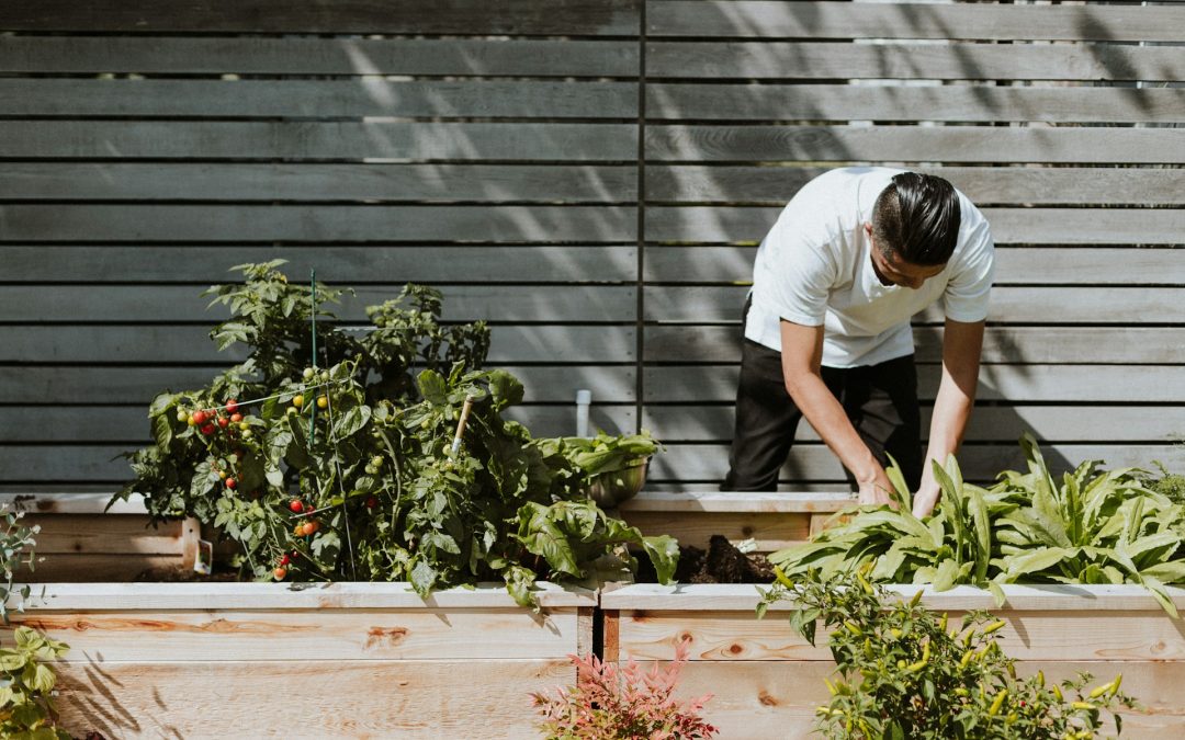 El Dorado Hills Gardening Calendar: What to Do Before Spring