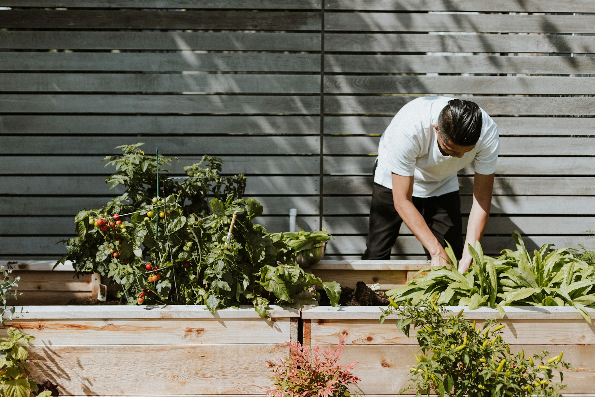 El Dorado Hills Gardening Calendar: What to Do Before Spring