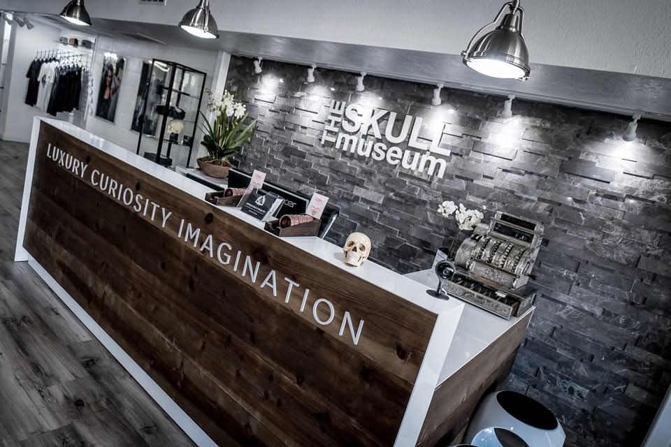 The Skull Museum: Where Art, Ink, and Curiosity Collide