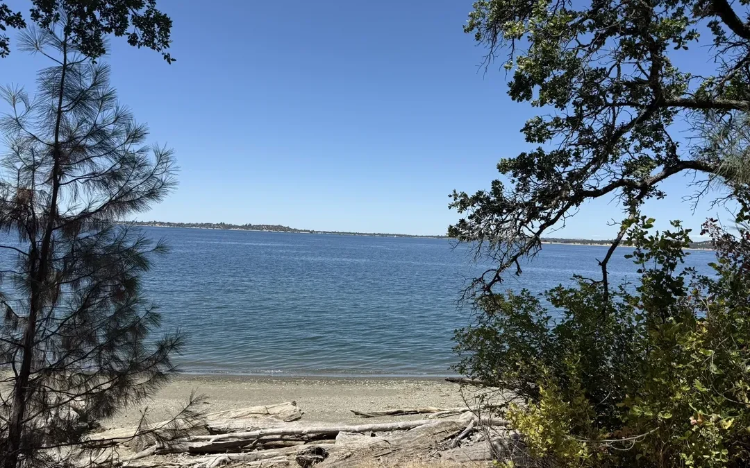 Uncover El Dorado Hills’ Beach Secrets: Travel Tips and Activities