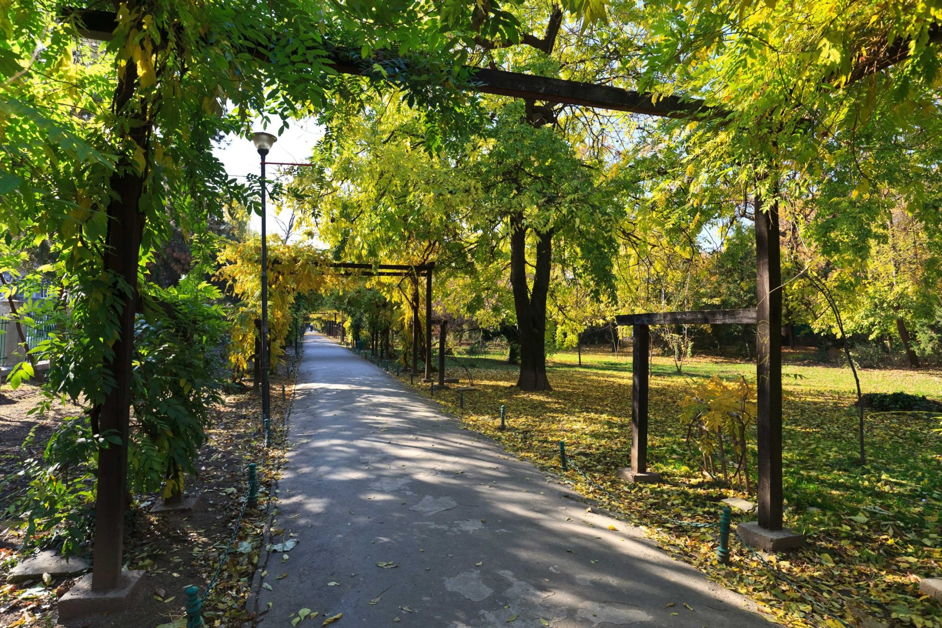 Senior Care Placement Services in El Dorado Hills: Your Trusted Guide