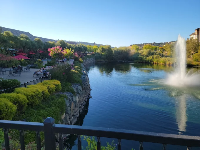 Community Connections: Dive Into EL Dorado Hills Town Center Event Offerings